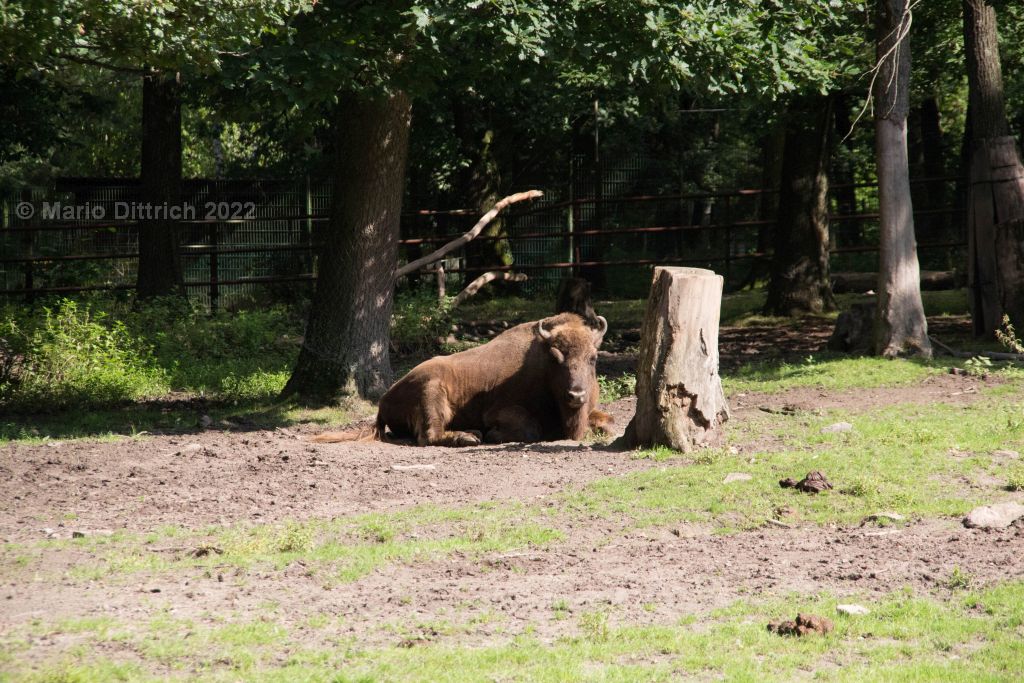 Tierpark Pforzheim