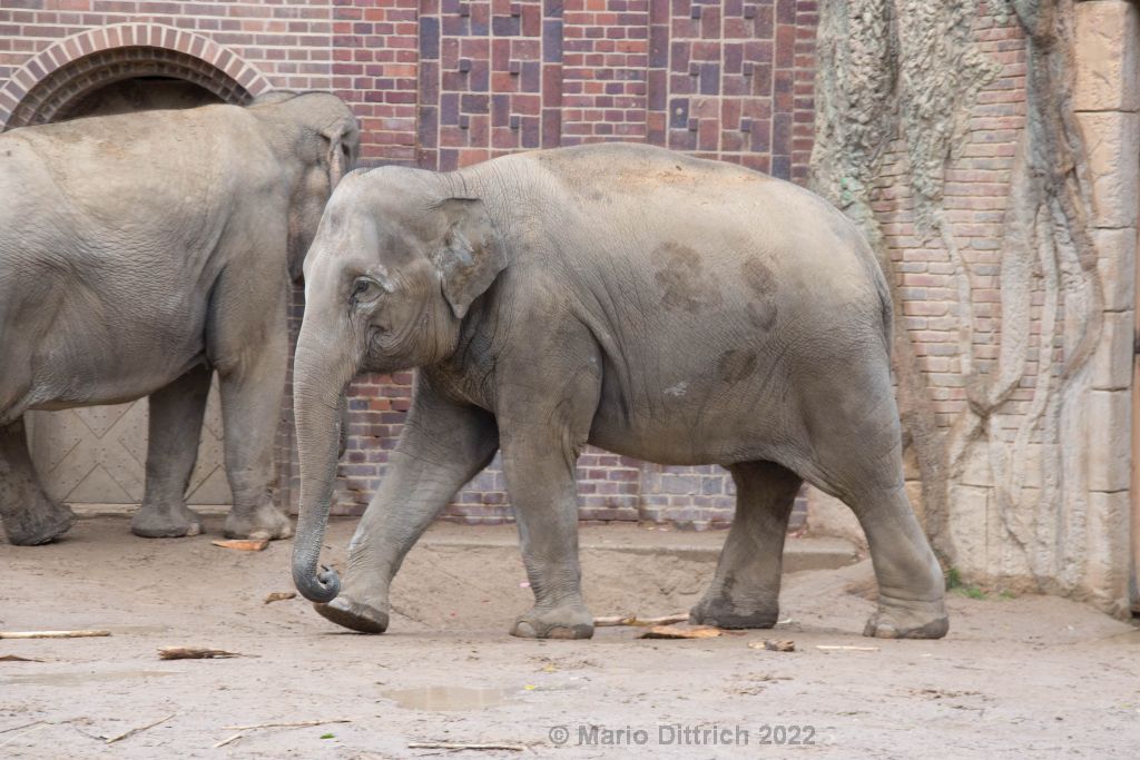 Zoo Leipzig