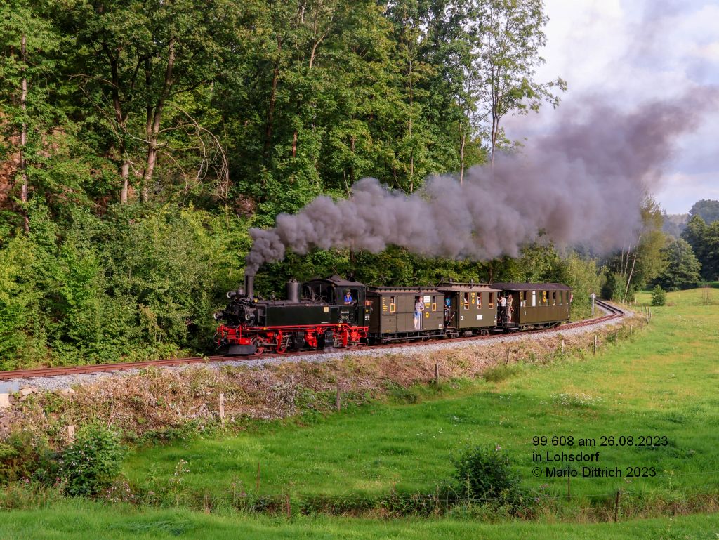 99 608 am 26.08.2023 bei Lohsdorf